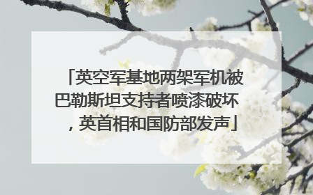 英空军基地两架军机被巴勒斯坦支持者喷漆破坏，英首相和国防部发声